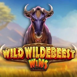 Wild Wildebeest Wins – slot by Pragmatic Play, featured at gambiva.it.com